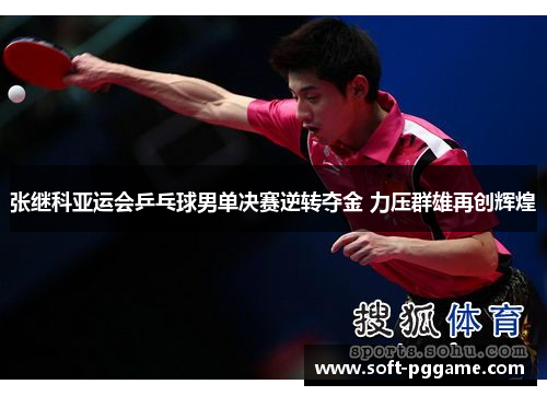 张继科亚运会乒乓球男单决赛逆转夺金 力压群雄再创辉煌 张继科亚运会乒乓球男单决赛逆转夺金 力压群雄再创辉煌