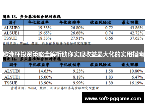 欧洲杯投资策略全解析助你实现收益最大化的实用指南